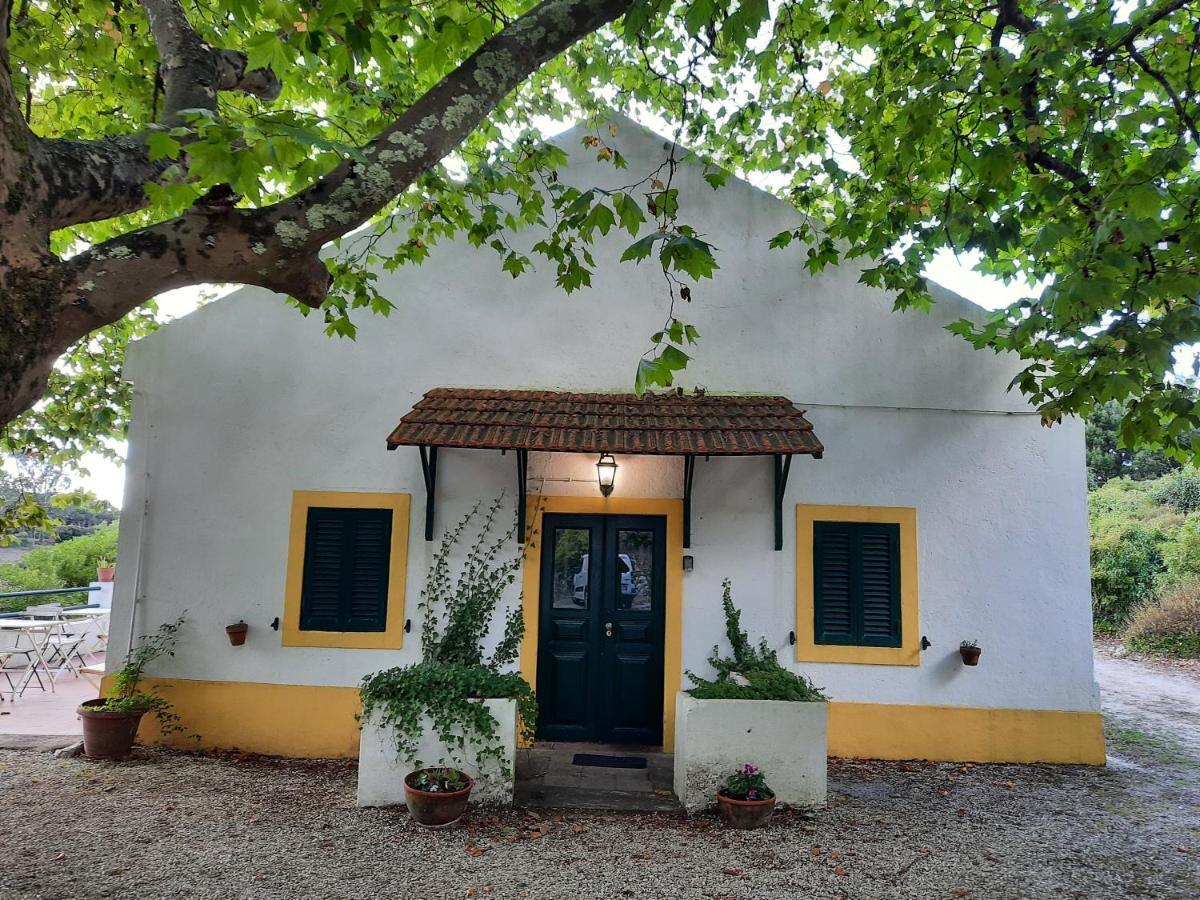 Montejunto Villas - Casa Do Platano Cadaval المظهر الخارجي الصورة