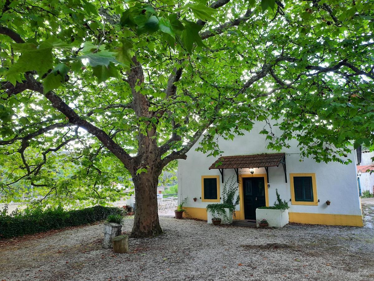 Montejunto Villas - Casa Do Platano Cadaval المظهر الخارجي الصورة
