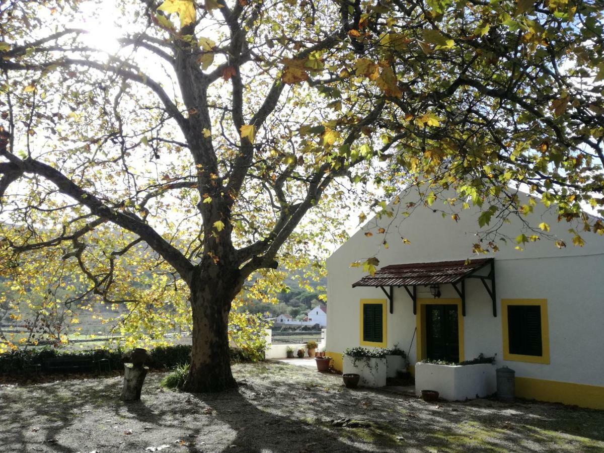 Montejunto Villas - Casa Do Platano Cadaval المظهر الخارجي الصورة