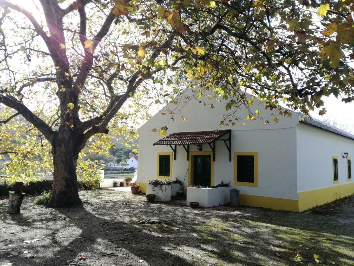 Montejunto Villas - Casa Do Platano Cadaval المظهر الخارجي الصورة