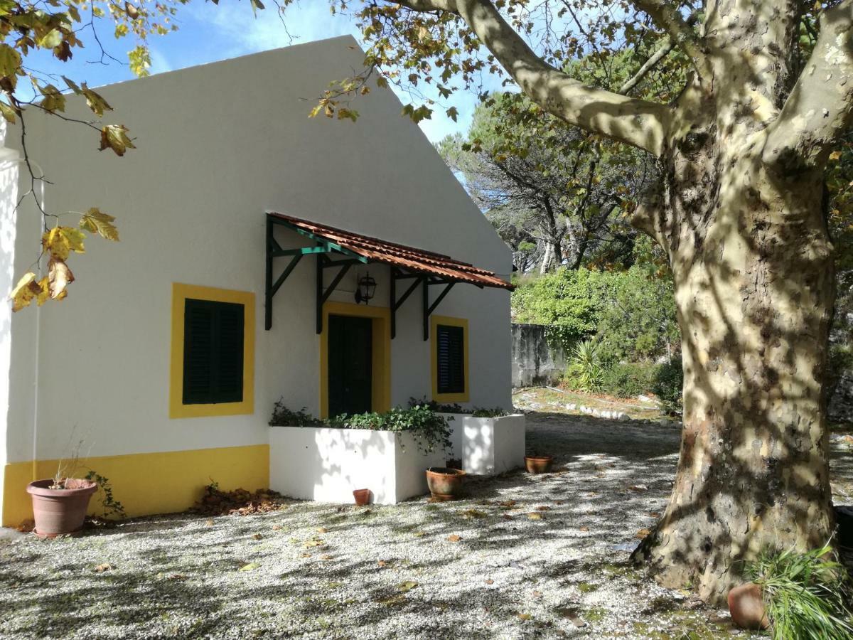 Montejunto Villas - Casa Do Platano Cadaval المظهر الخارجي الصورة