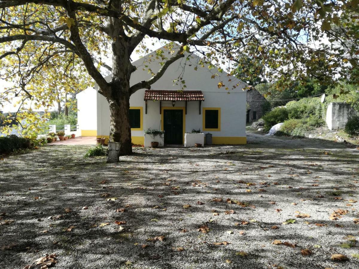 Montejunto Villas - Casa Do Platano Cadaval المظهر الخارجي الصورة