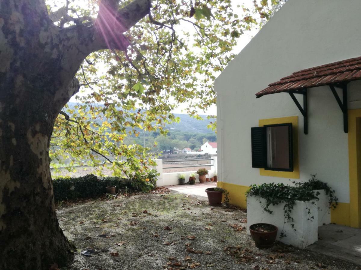 Montejunto Villas - Casa Do Platano Cadaval المظهر الخارجي الصورة